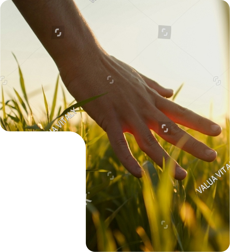 whyy-choose-image